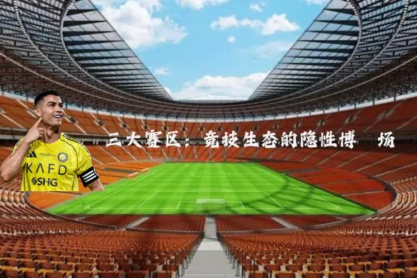 三大赛区:竞技生态的隐性博弈场